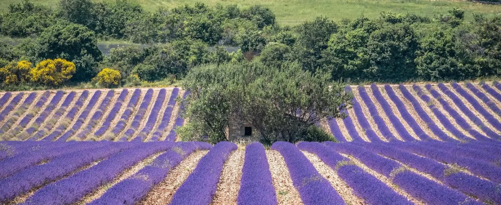Mas Belvega Bed & Breakfast La Baume-de-Transit