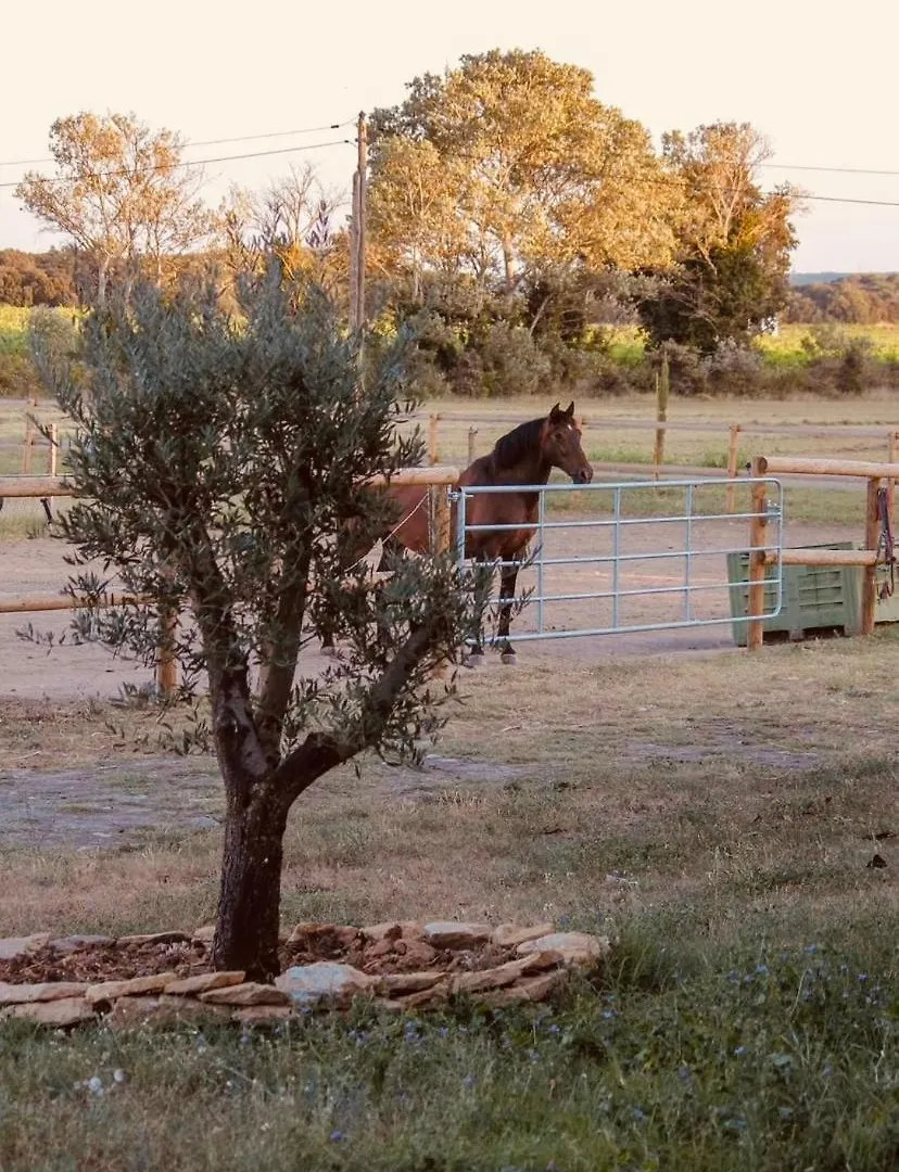 Mas Belvega Bed & Breakfast La Baume-de-Transit