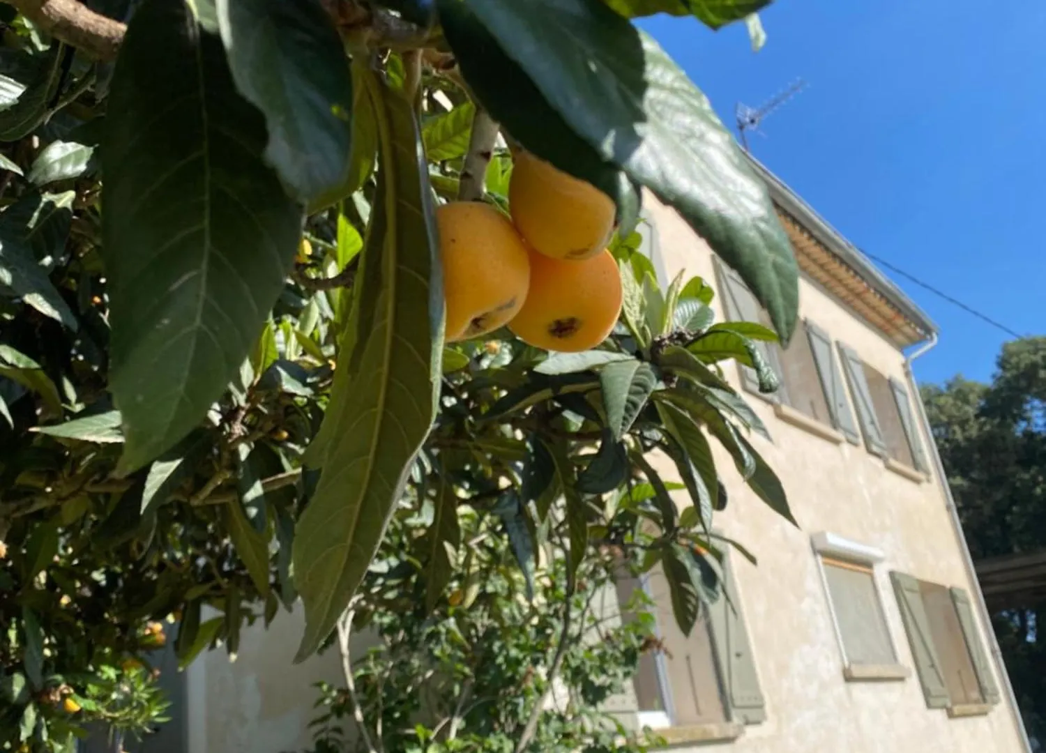 Mas Belvega Bed and Breakfast La Baume-de-Transit