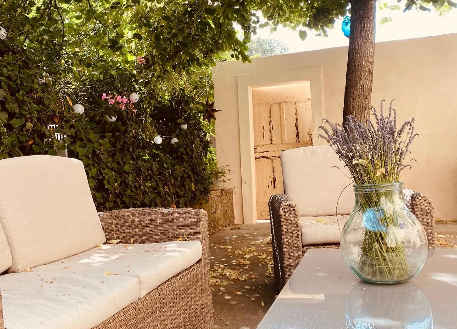Mas Belvega Bed and Breakfast La Baume-de-Transit Frankrig
